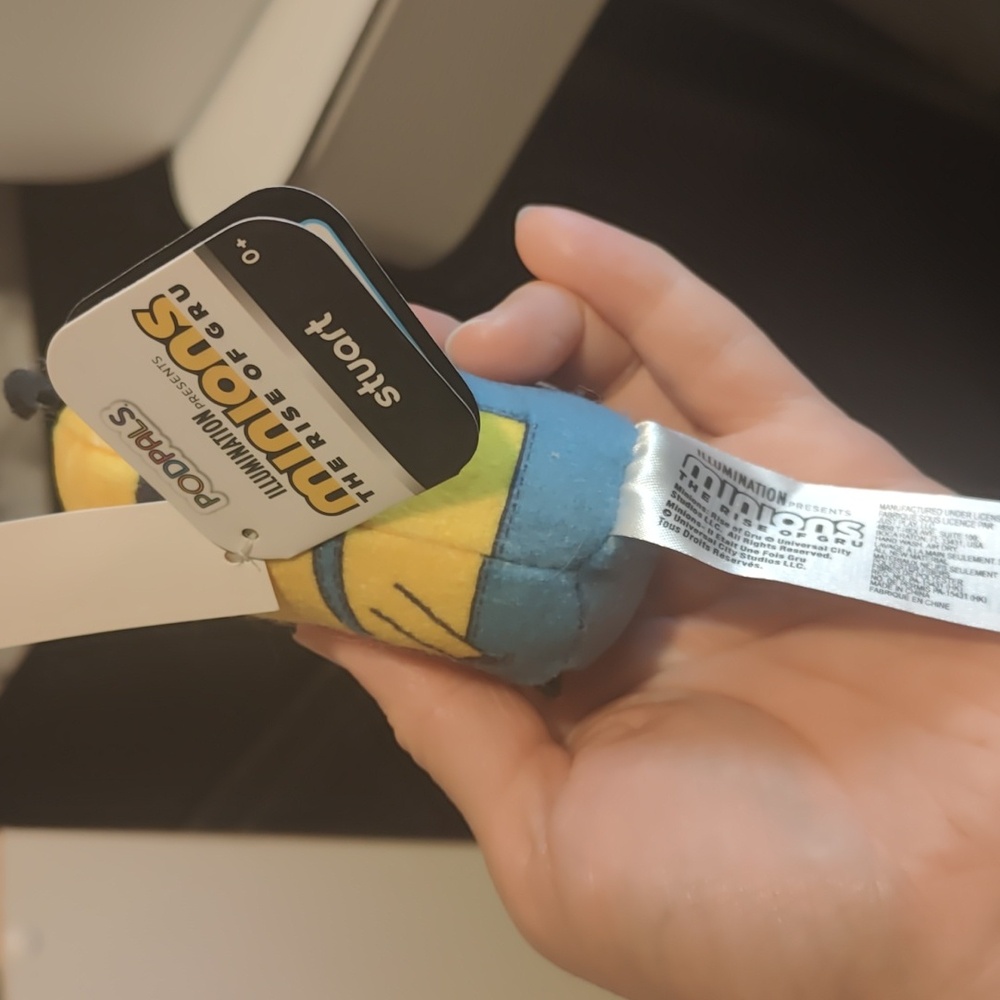 Minion - Picture 2 of 3